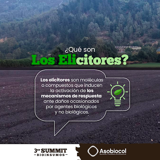 asobiocol's tweet photo. Elicitor: se refiere a sustancias químicas de distinto origen que pueden desencadenar respuestas fisiológicas y morfológicas en la planta. 
#Asobiocol #Suelos #Agriculturasostenible #Bioinsumos  #AgriculturaConsciente #Controldeplagasyenfermedades #elicitores #cultivossanos https://t.co/Rvu97j8uhM