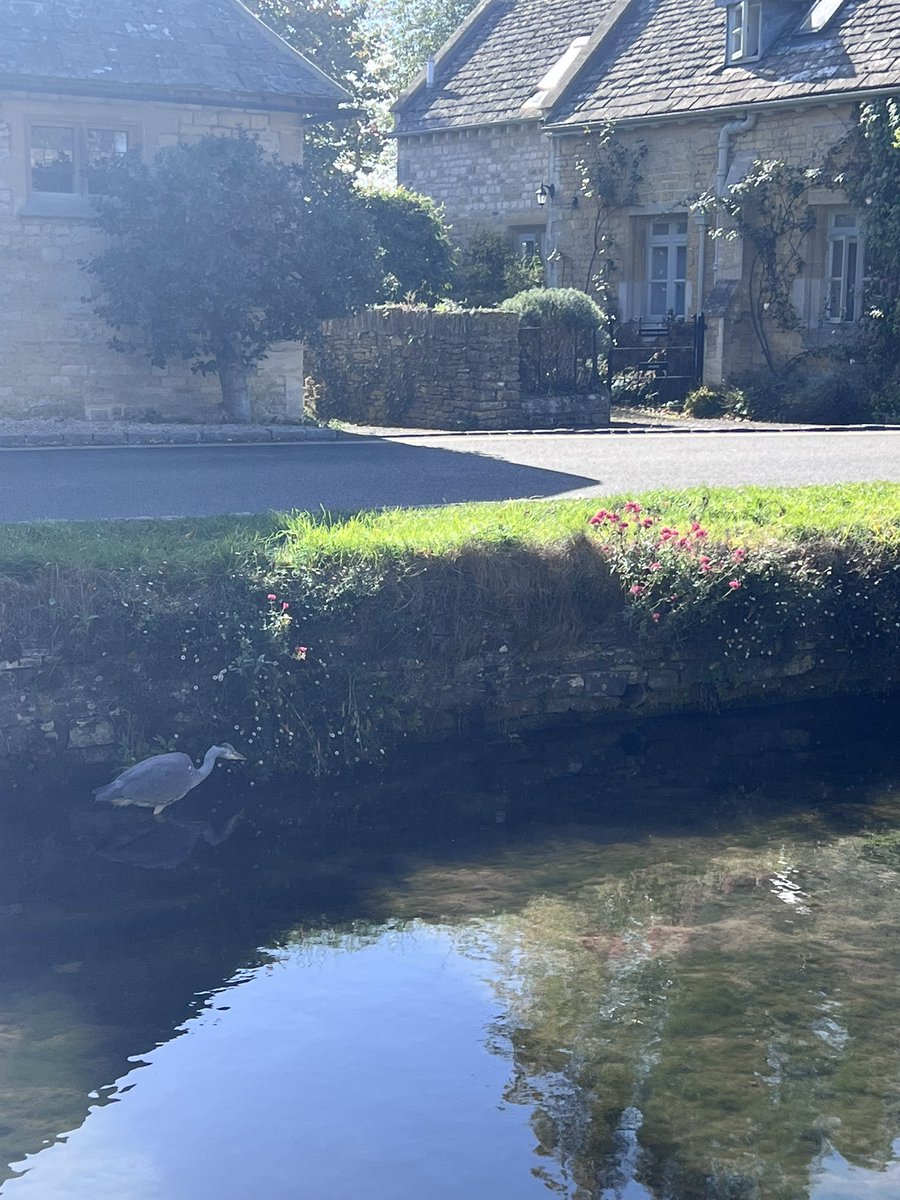 Cotswold_Idyll's tweet photo. Family ramble raising money for #childreninneed #countryfileramble through the Slaughters #Cotswolds https://t.co/MsYVqtkjlG