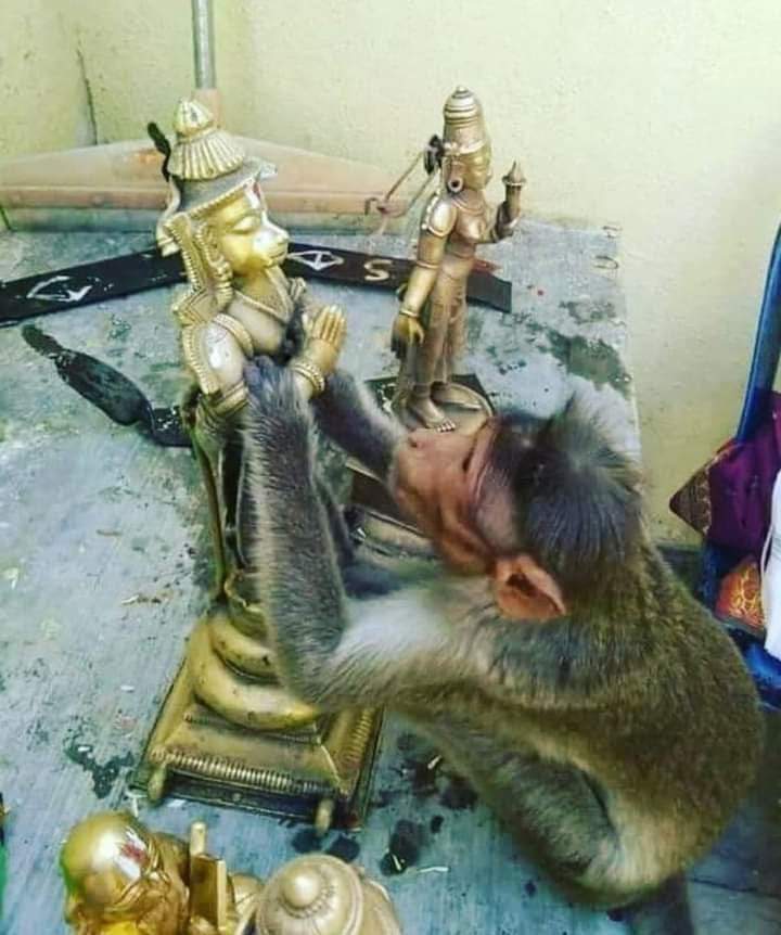 Laxmisha5's tweet photo. ಯಾವುದೇ ಸಂಬಂಧದಲ್ಲಿ ನಿಜವಾದ ಪ್ರೀತಿ,
 ಕಾಳಜಿ, ಗೌರವ ಇದ್ದರೆ ಮಾತ್ರ ನೀವು ಎಷ್ಟು ದೂರವಾದರೂ, ಎಷ್ಟು ದೂರವಿದ್ದರೂ ಅದು ನಿಮ್ಮನ್ನು ಮತ್ತೆ ಮತ್ತೆ ಹುಡುಕಿ ಬರುತ್ತದೆ...!!
#ಜೈ_ಆಂಜನೇಯ 🙏
#jaihanuman https://t.co/qp73A0SFov