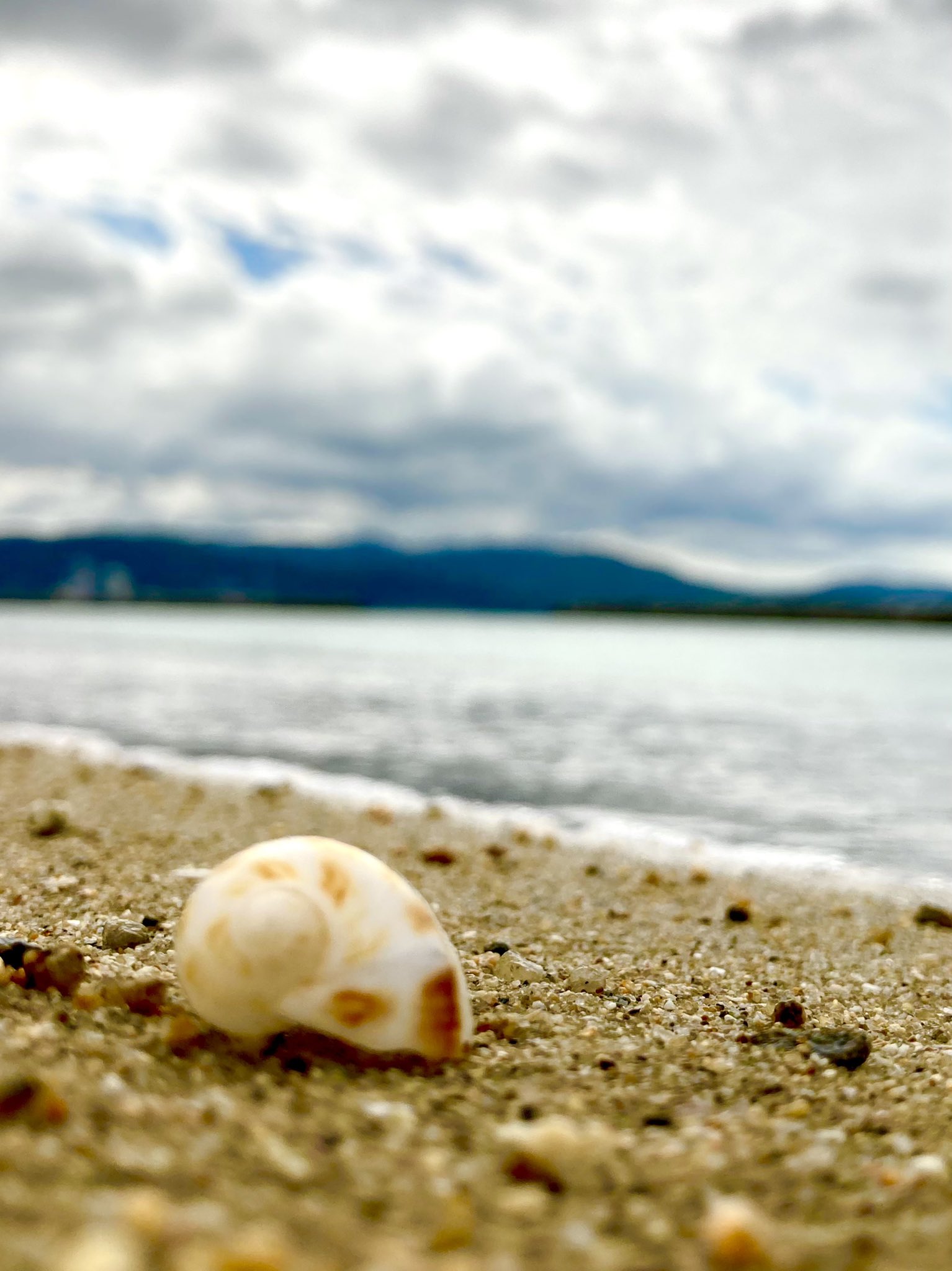 なづき Gb350 Gb Goldenbat Twitter