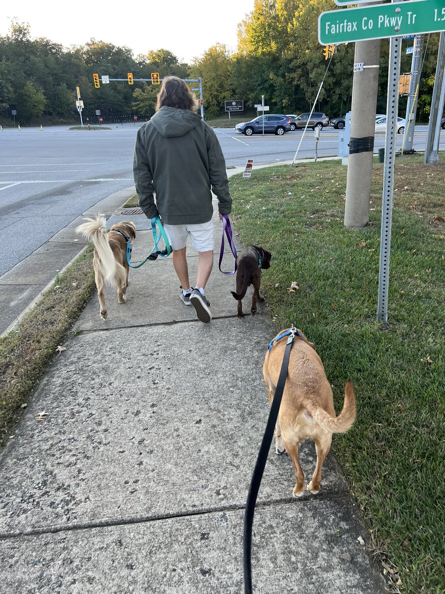 Morning walk done. Have an amazing Saturday friends. Happy Fall