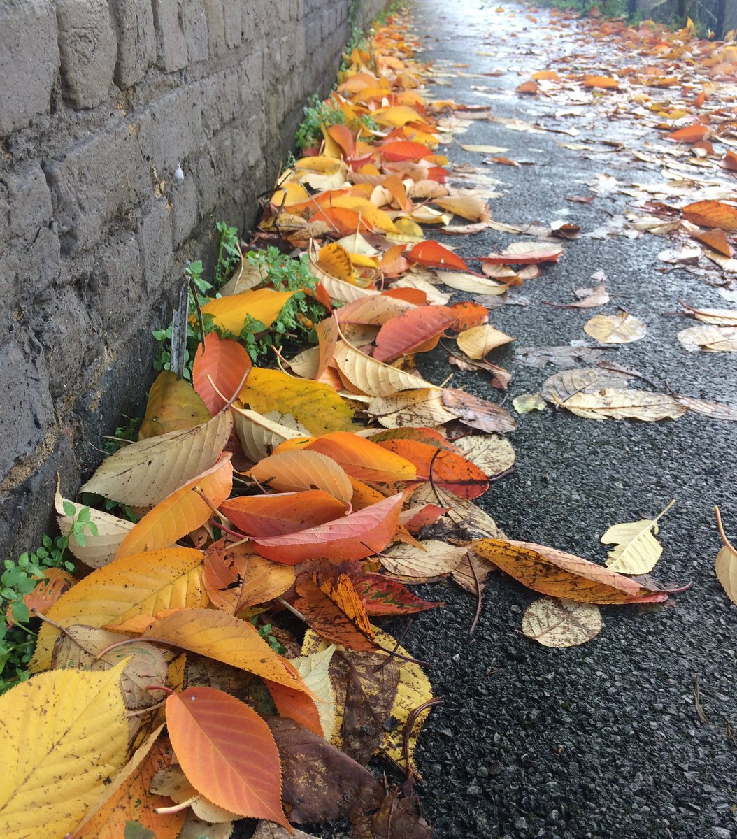 Alternative photos of cupcakes… Autumn… My favourite season. #firsttmaster #autumn2022 #photography #photographylovers