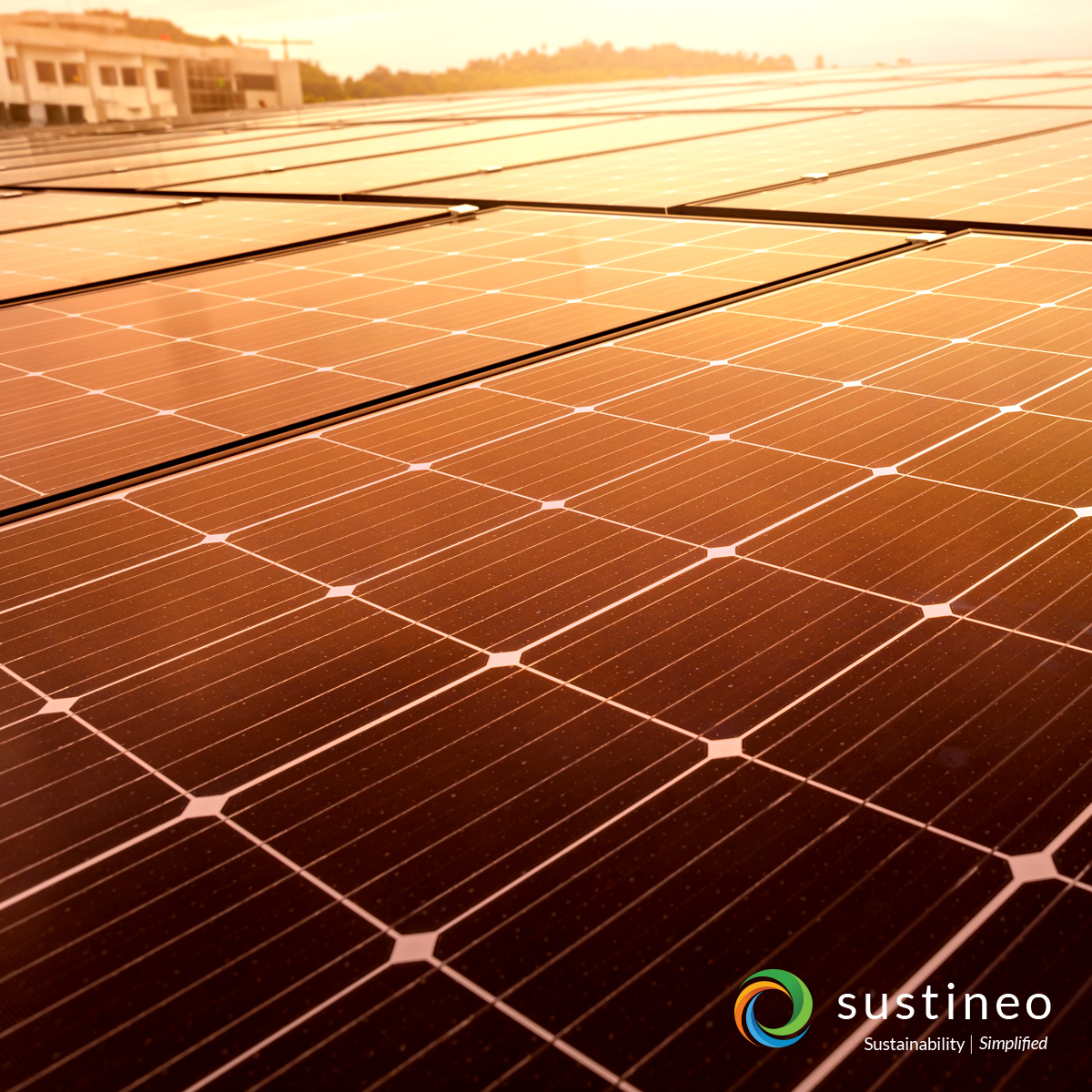 Sustineo_Solar's tweet photo. Sustineo is committed to creating customers for life through innovative sustainability, excellence in workmanship, and stellar service.
-
-
-
#sustineo #customersforlife #solar #commercialsolar #epc #solarepc #designbuildoperate #solarpanel https://t.co/T0KCXccOX0