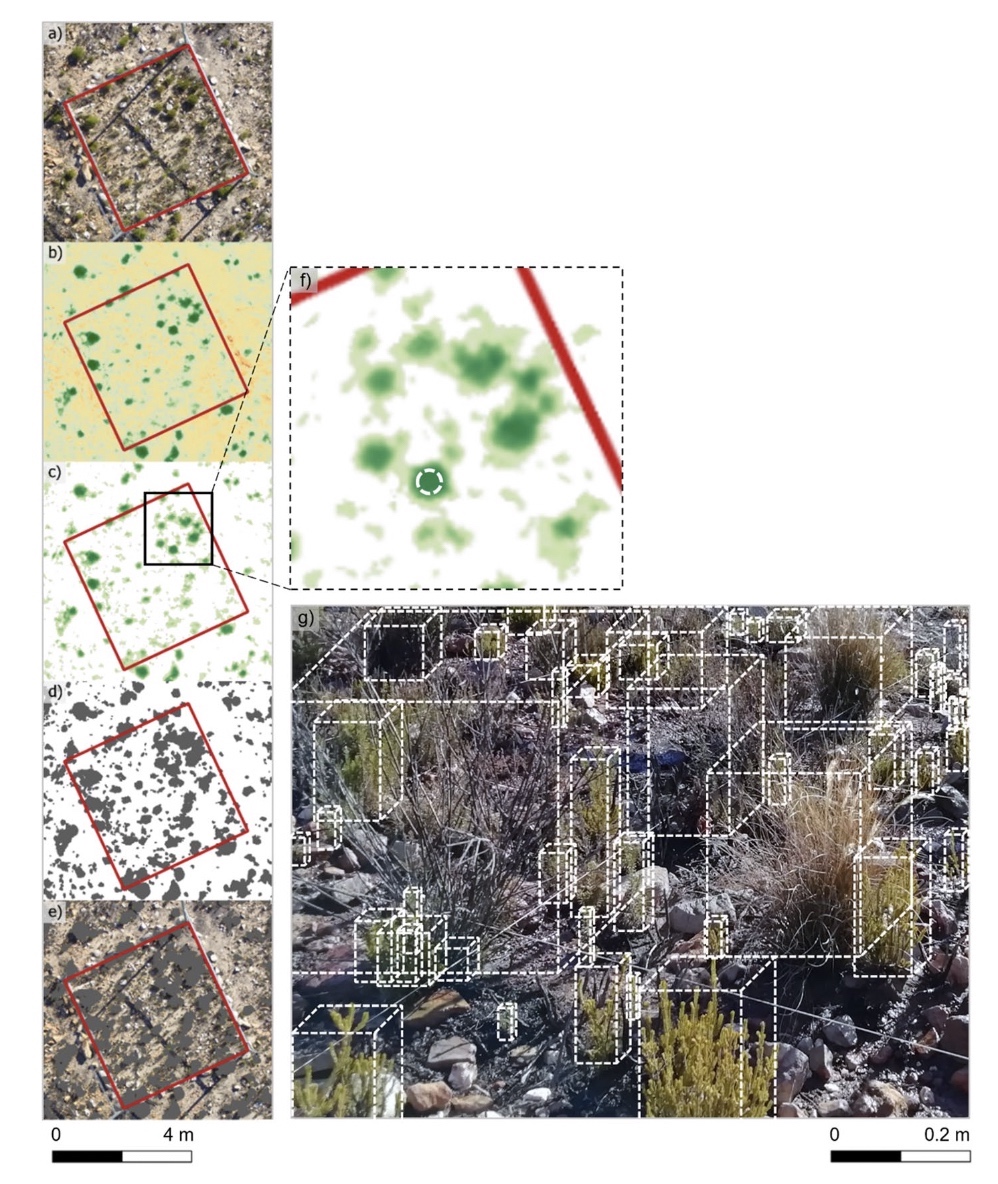 Adam West (@adamgwest) on Twitter photo Drones improve our ability to detect post-fire recovery in shrublands, especially for the important grassy component of these ecosystems. Powerful tool when combined with ground surveys (and it is fun too)! link.springer.com/article/10.100… <a href="/JasperSlingsby/">Jasper</a> <a href="/BioSciUCT/">Biological Sci UCT</a> <a href="/UCT_Research/">UCT Research</a> Drones improve our ability to detect post-fire recovery in shrublands, especially for the important grassy component of these ecosystems. Powerful tool when combined with ground surveys (and it is fun too)! link.springer.com/article/10.100… <a href="/JasperSlingsby/">Jasper</a> <a href="/BioSciUCT/">Biological Sci UCT</a> <a href="/UCT_Research/">UCT Research</a>