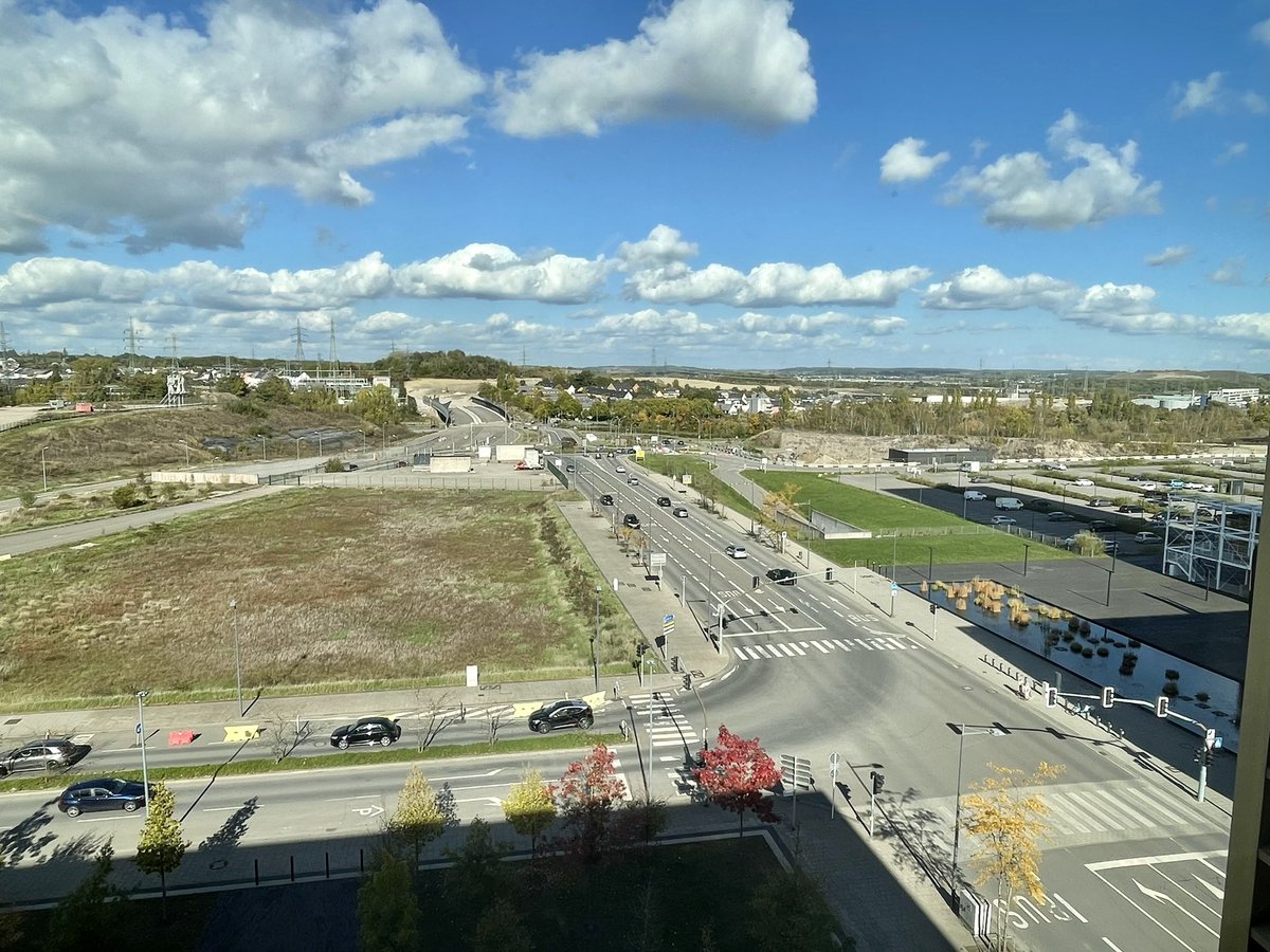 ShuaiChenEcon's tweet photo. Just another brilliant sunny Fall day
quiet & perfect for working in office
❤️❤️
#AcademicWeekend #AcademicTwitter #AcademicChatter #Academia https://t.co/pTQ78bmFc3