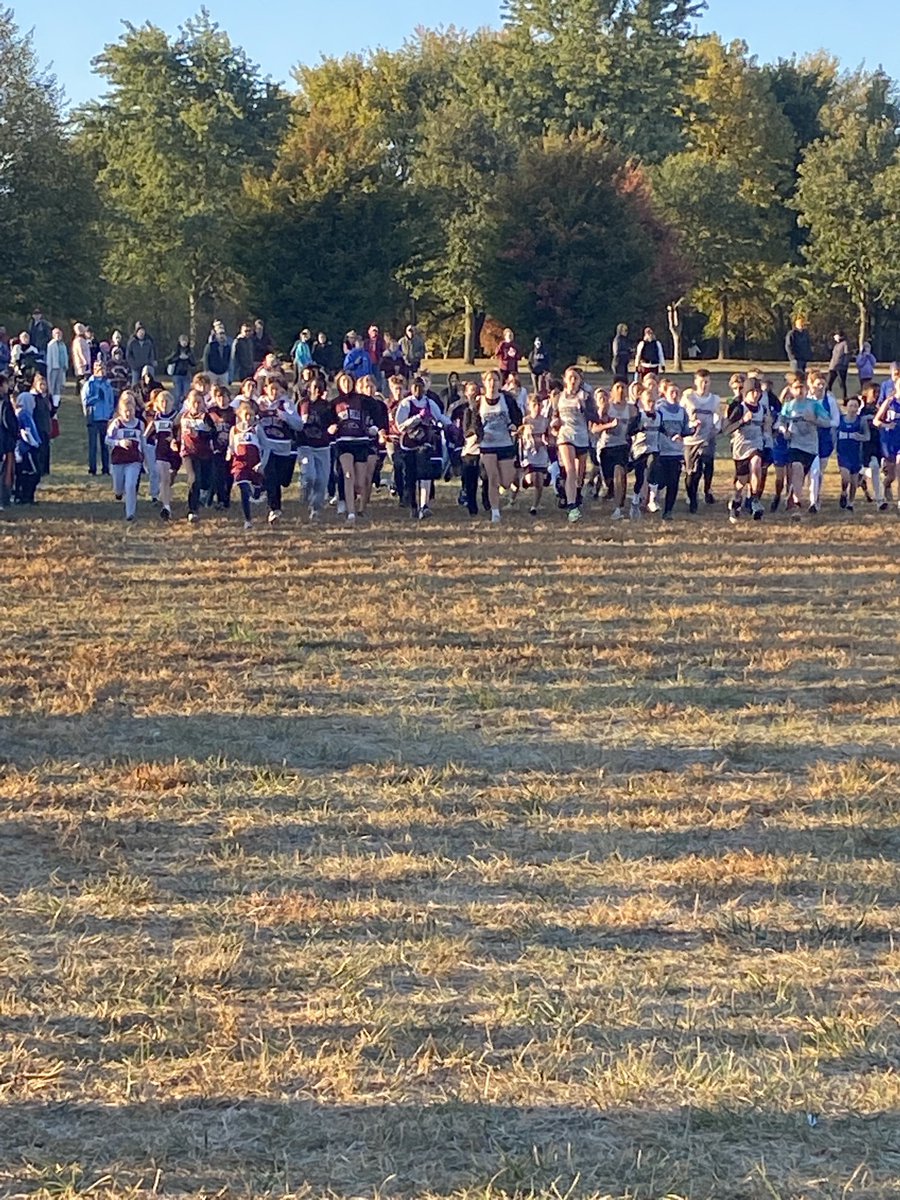 They are off!  Go Knights