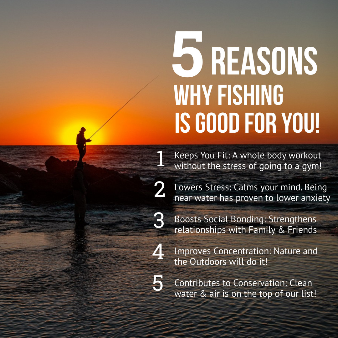 TonySeljak2's tweet photo. The fall is such a great time to get outdoors and go fishing!

#fishing #fish #fishon #outdoors #thegreatoutdoors #fitness #stress #social #concentration #fun #conservation https://t.co/DrrBT7l8LC