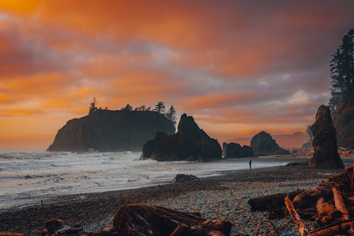 Brendan Beale Photography tweet media