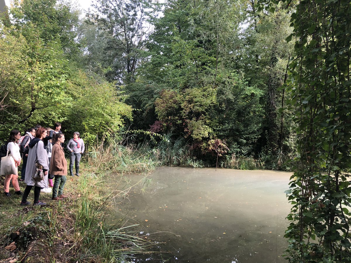CNRS_dr07's tweet photo. #CNRSinsolite A la découverte d’un lieu secret au coeur de la ville... Les étangs expérimentaux de la Doua, terrain de recherche à la biodiversité foisonnante 
#FDS2022 #Villeurbanne https://t.co/3I7vfmAYbt
