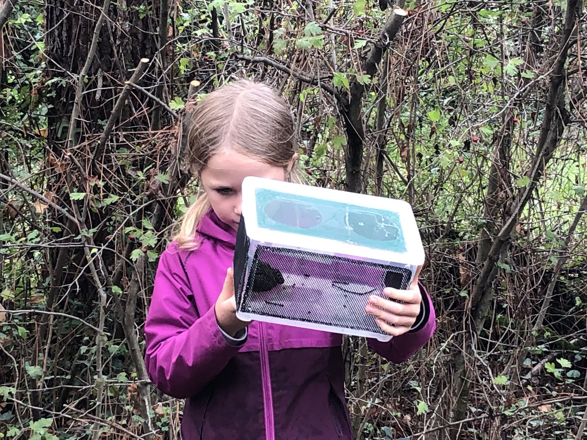 CNRS_dr07's tweet photo. #CNRSinsolite A la découverte d’un lieu secret au coeur de la ville... Les étangs expérimentaux de la Doua, terrain de recherche à la biodiversité foisonnante 
#FDS2022 #Villeurbanne https://t.co/3I7vfmAYbt