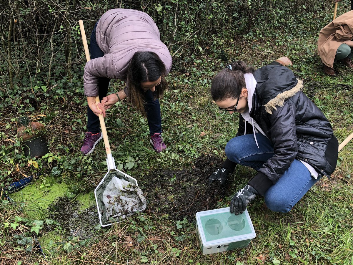 CNRS_dr07's tweet photo. #CNRSinsolite A la découverte d’un lieu secret au coeur de la ville... Les étangs expérimentaux de la Doua, terrain de recherche à la biodiversité foisonnante 
#FDS2022 #Villeurbanne https://t.co/3I7vfmAYbt