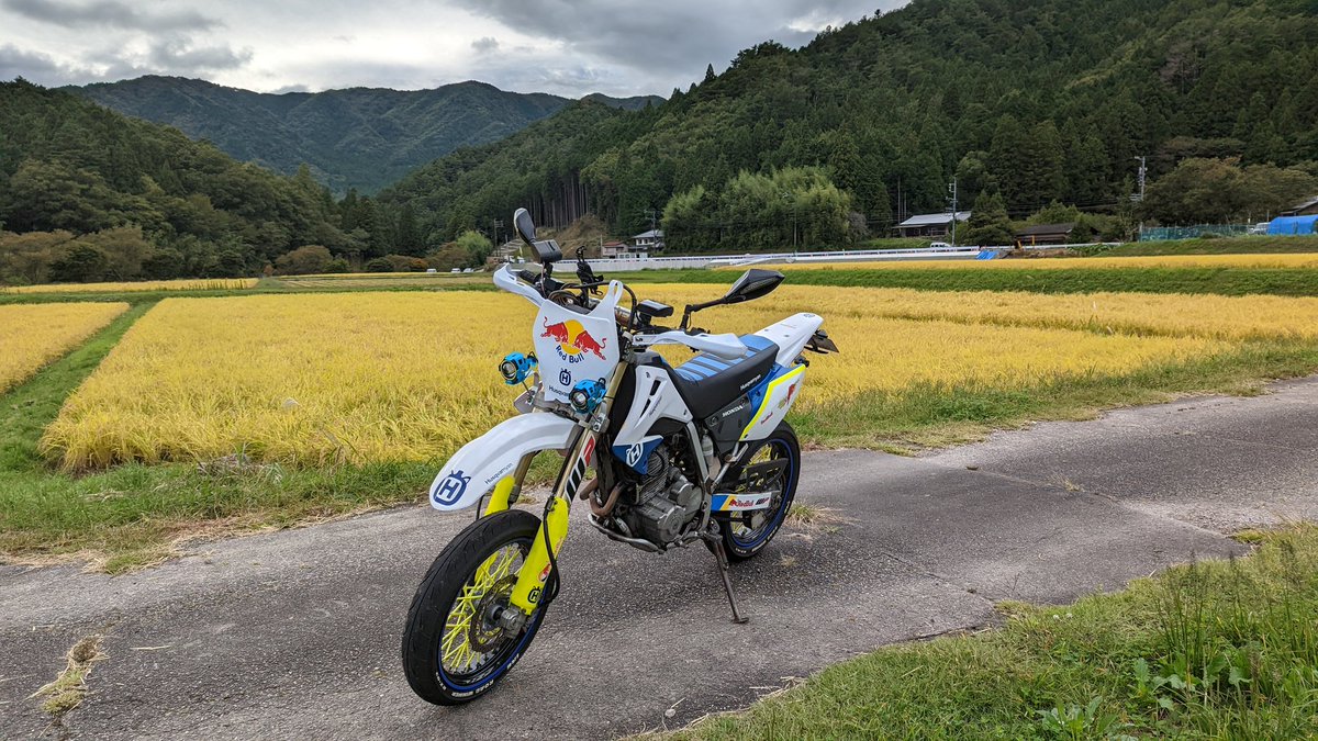 ぴちょニャン(+1D.P.) tweet media