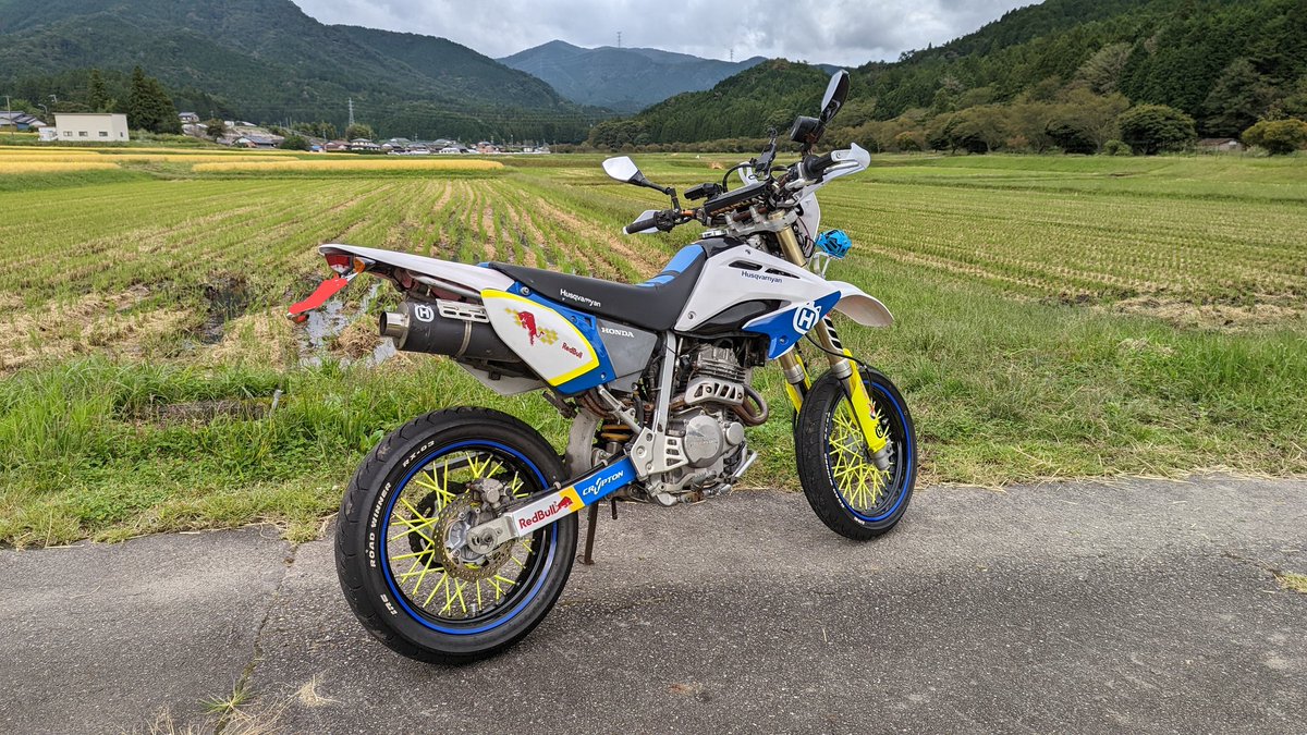 ぴちょニャン(+1D.P.) tweet media