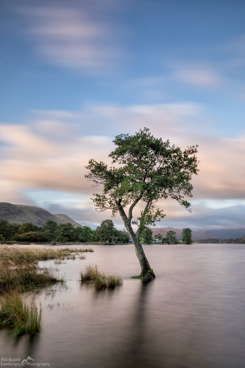 Phil Buckle tweet media