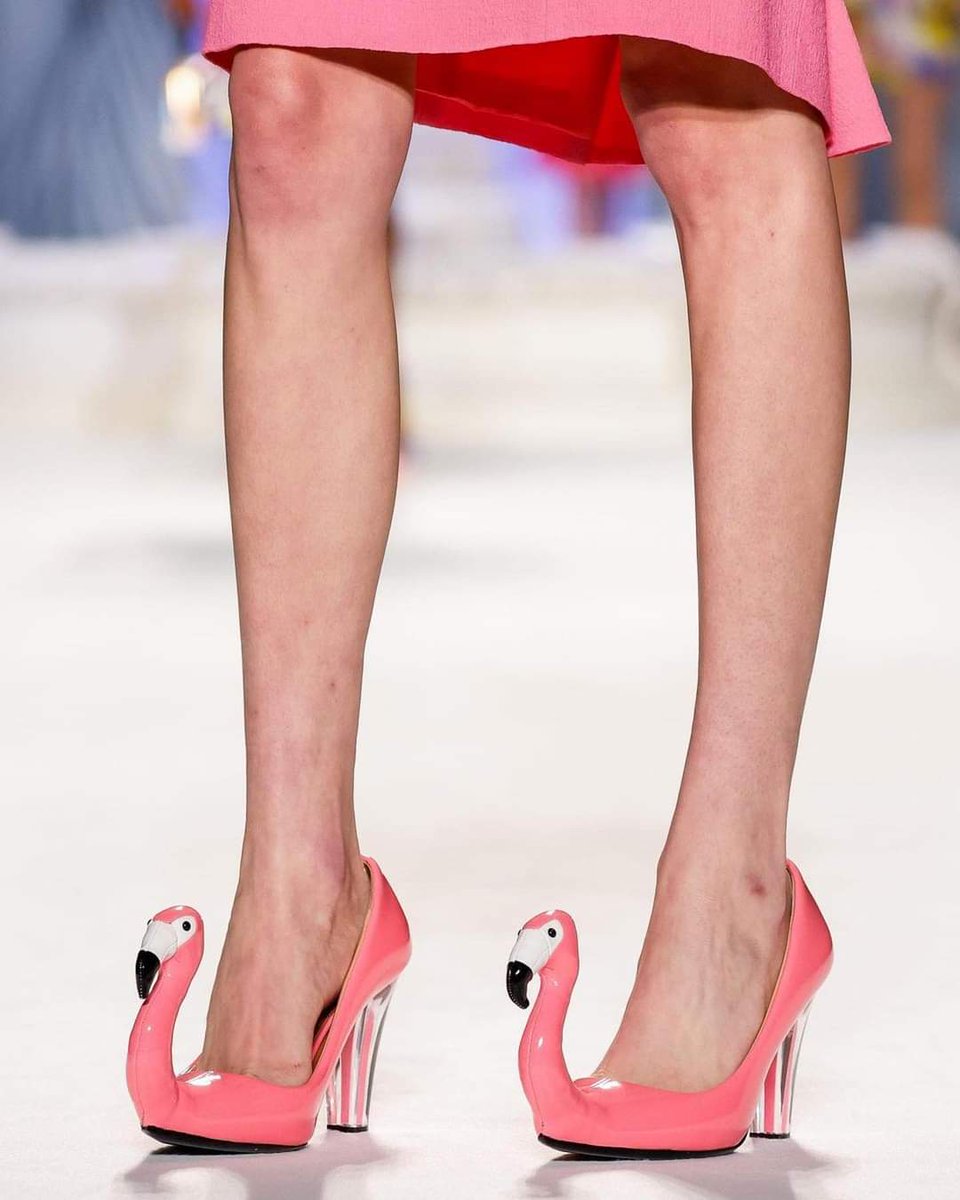 AngelaBare's tweet photo. Having returned from Milan after fashion week absolutely love these awesome creations on the runway by moschino we all need flamingos in our lives #moschino #fashionweek #flamingo #prettyshoes #PrettyInPink https://t.co/Etsvw1dgsp