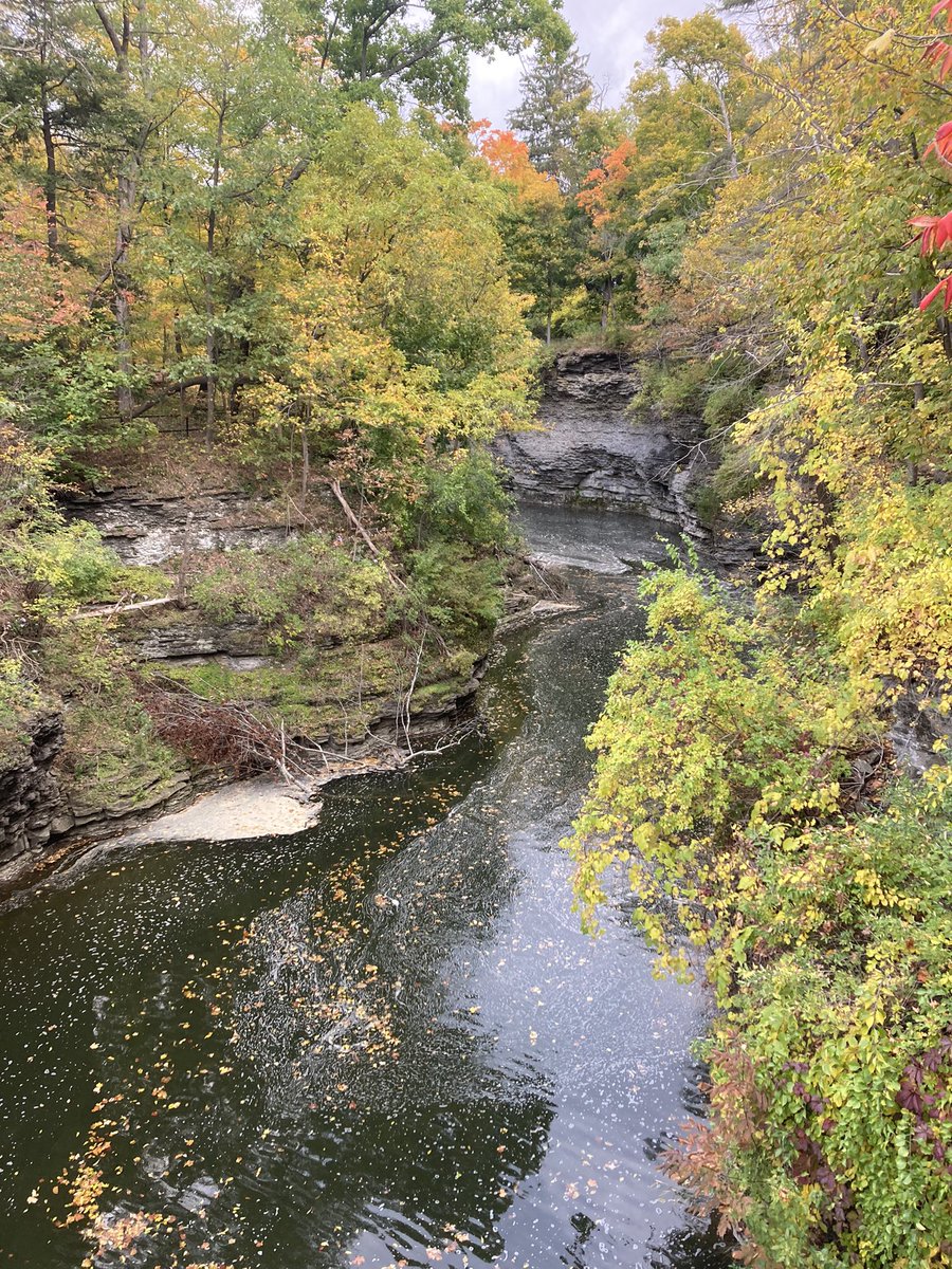 Ben Bond-Lamberty (@benbondlamberty) on Twitter photo A GORGEous 18 km 🏃♂️ loop through the hills and creeks above Ithaca, including Six Mile Creek, Arboretum (thx <a href="/RSinghGupta/">Rohini Gupta</a> ) & Fall Creek. Lovely end to a great visit; many thanks <a href="/gisgter2008/">Ying Sun</a> & <a href="/XiangtaoX/">XiangtaoXu</a> A GORGEous 18 km 🏃♂️ loop through the hills and creeks above Ithaca, including Six Mile Creek, Arboretum (thx <a href="/RSinghGupta/">Rohini Gupta</a> ) & Fall Creek. Lovely end to a great visit; many thanks <a href="/gisgter2008/">Ying Sun</a> & <a href="/XiangtaoX/">XiangtaoXu</a>