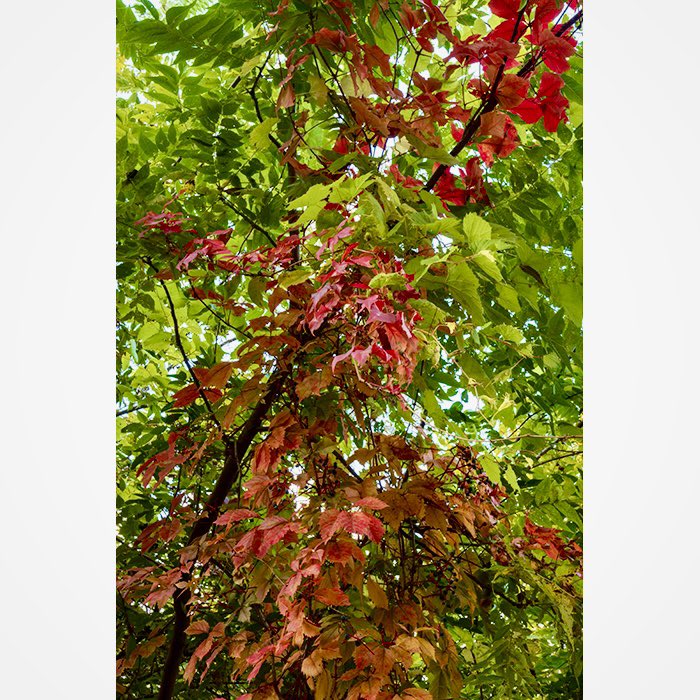 Matthew J. Kirsch Photography tweet media