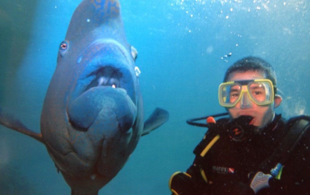 I enjoy critical care because you often have to work well under pressure. If you can work in an ICU, you can work anywhere.   Outside of work, I’m an avid scuba diver and shark enthusiast. #PAWeek