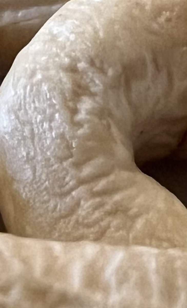 Quizfrage: was ist das?