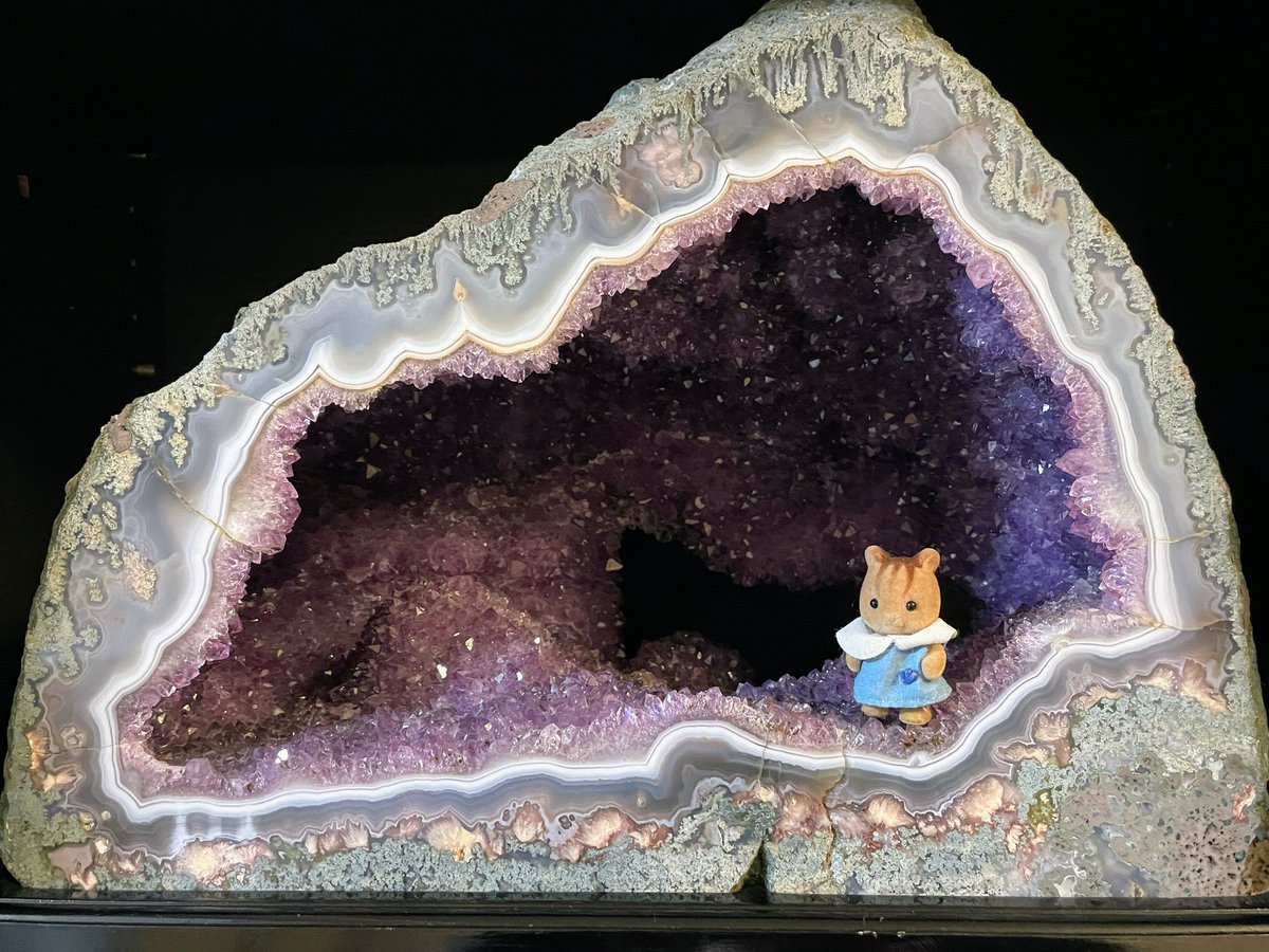 すばる@石禁は概念 tweet media