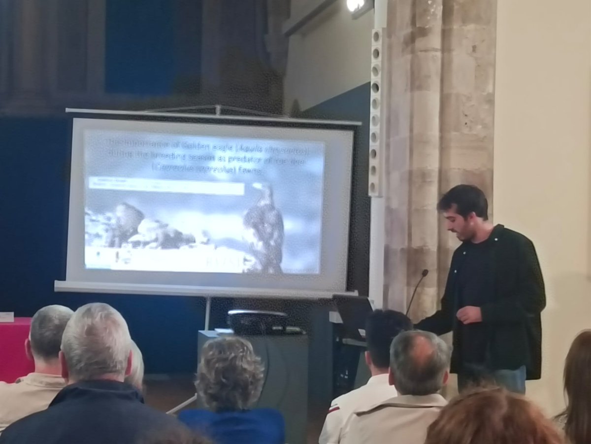 Gambralepidus's tweet photo. Y de oca en oca... Ya he presentado mi ponencia sobre la relevancia del águila real como predador sobre el corzo durante la época de cria. #RUSIXIII https://t.co/K0jzQzKD0H