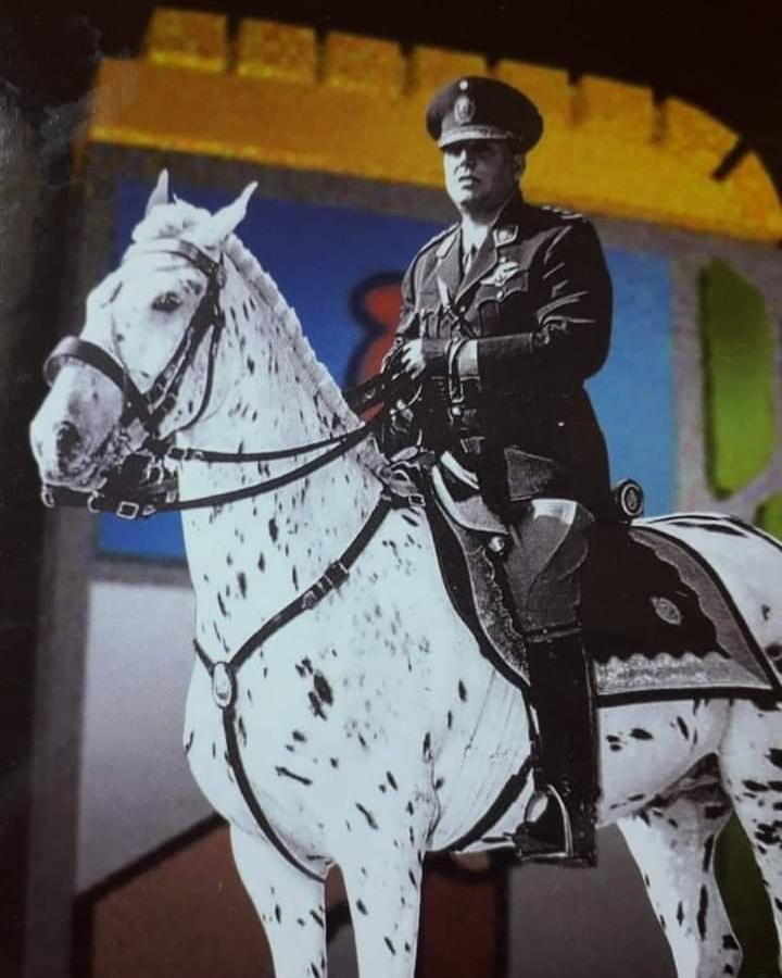 "El que quiera conducir con éxito tiene que exponerse; el que quiere éxitos mediocres, que no se exponga nunca; y si no quiere cometer ningún error, lo mejor es que nunca haga nada".

Juan Domingo Perón