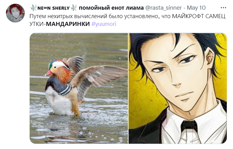 #MoriartyThePatriot #yuumori #myal #moralbert #mymoran

Как-то раз мы в юмори-фд решили, что Майкрофт — самец утки-мандаринки. Сегодня я предлагаю вам АУ, в которой Майкрофт Холмс разводит уток-мандаринок у себя дома, и связанные с этим тупые случаи из жизни

благодарна за рт 🦆