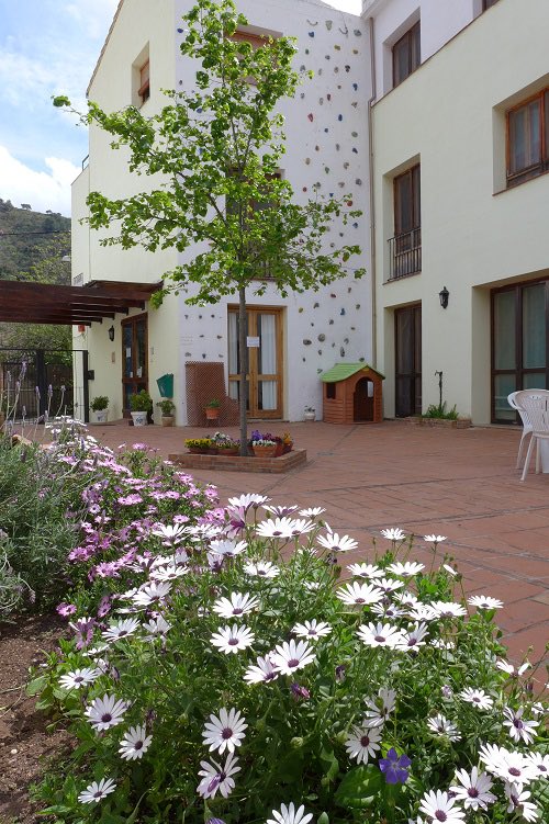 Oxígeno rural tweet media