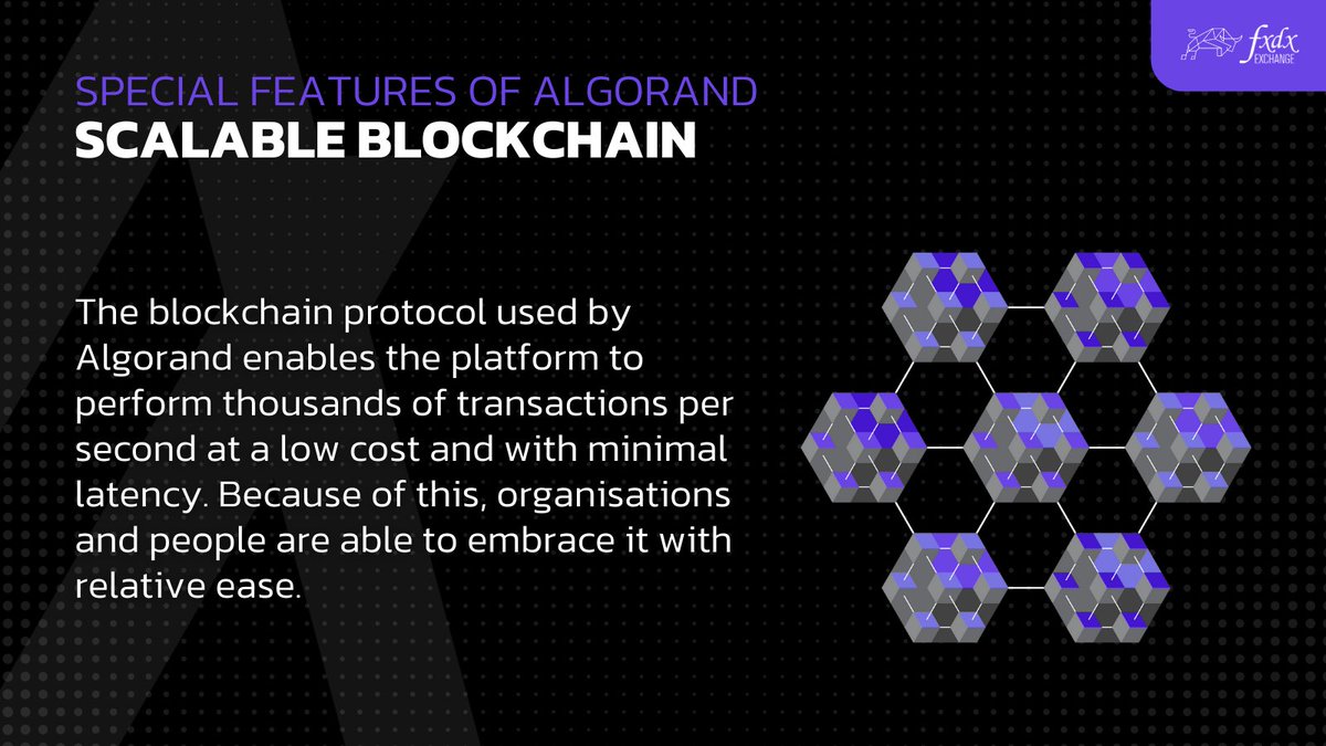 Speed like you've never seen before — the Algorand blockchain performs thousands of transactions per second.

Retweet this if you plan to get on the ALGO train and leave everyone else in the dust! 🔥

mainnet.fxdx.exchange/trade

#fxdx #algo #algorand #algofam #algofamily