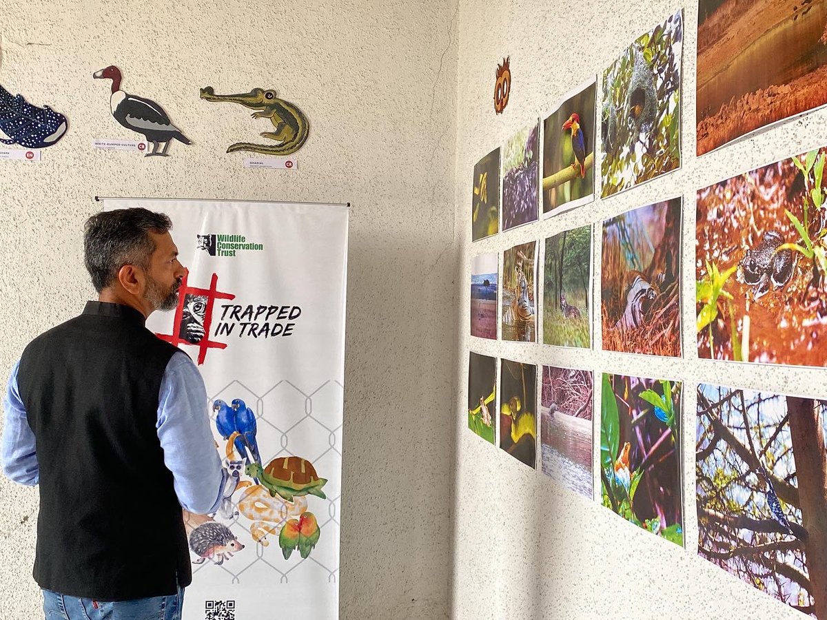 WCT_India's tweet photo. Today, we organised a talk for the students of Bhavan's College as part of #TrappedInTrade campaign outreach. @anishandheria spoke on the issue of #illegalwildlifetrade, the rising demand for exotic wild animals as #pets in India, &amp; the urgent need for stronger wildlife laws. https://t.co/5tolAdio8J