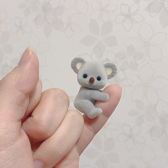 Aiko S Optimal Today