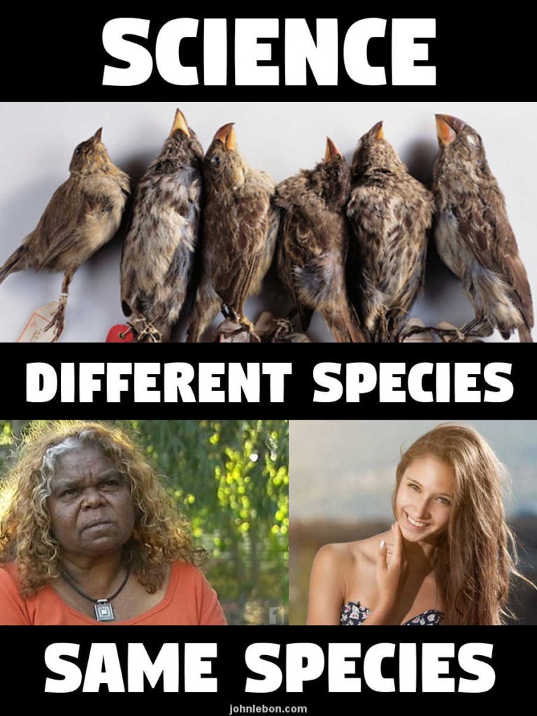 dew_rae's tweet photo. #auspol #AusPol2022 #auspoll 

There’s no “closing the gap”!It’s a scam!And unfairly guilted White people have been totally conned into thinking it’s their fault other races have lower achievement rates. #NoWhiteGuilt

https://t.co/f19xnso4mn https://t.co/bhxTRMTr4M