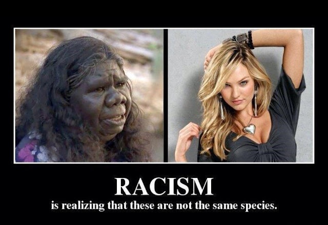 dew_rae's tweet photo. #auspol #AusPol2022 #auspoll 

There’s no “closing the gap”!It’s a scam!And unfairly guilted White people have been totally conned into thinking it’s their fault other races have lower achievement rates. #NoWhiteGuilt

https://t.co/f19xnso4mn https://t.co/bhxTRMTr4M
