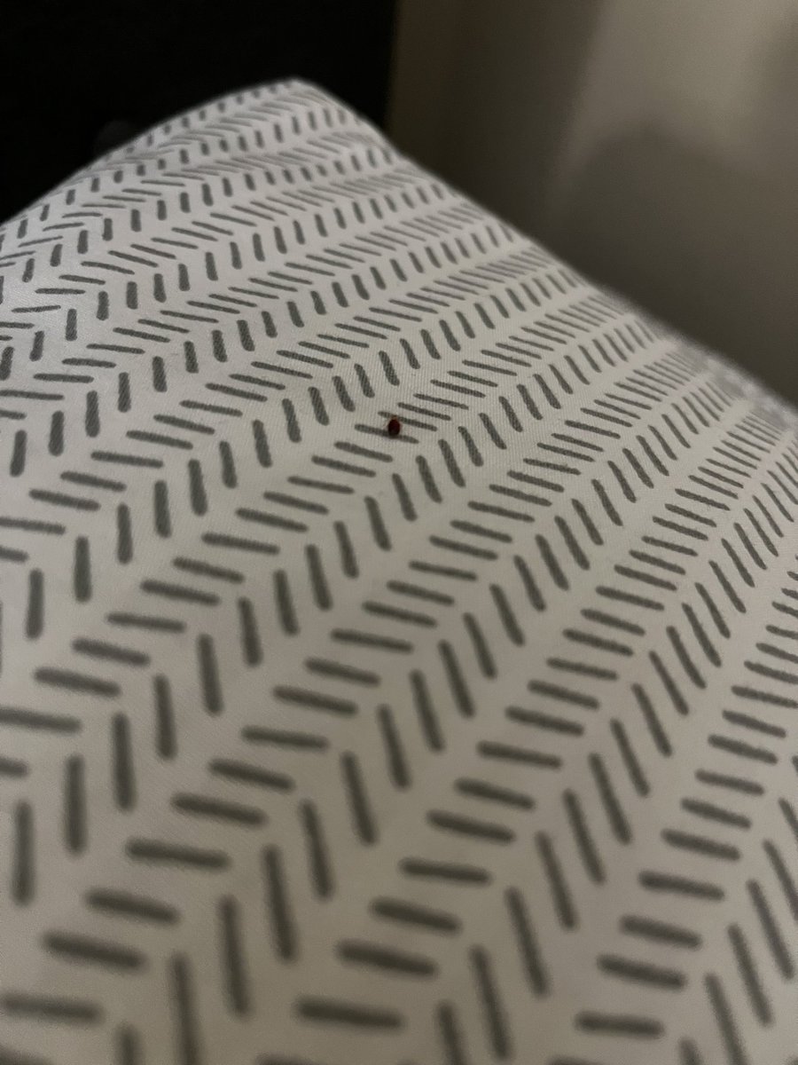 kkyrsteynn's tweet image. Refund. Our stay has been canceled and they are not willing to pay for a hotel or a new Airbnb. We have to be out in an hour with nowhere to go. Maybe this tweet will get to the right people since they think it’s okay to drag their feet and are willing to leave us stranded.