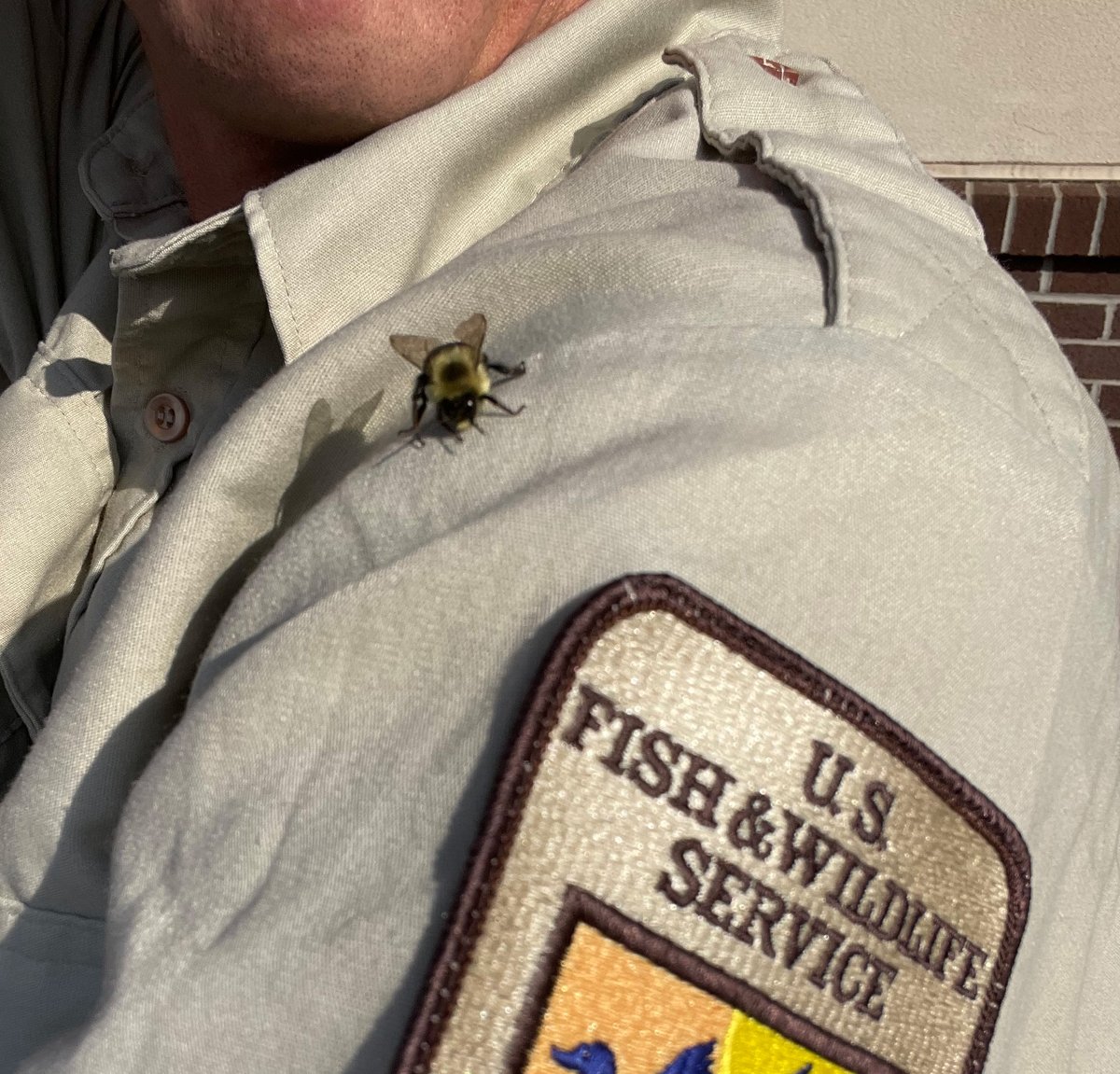 U.S. Fish and Wildlife Service tweet media