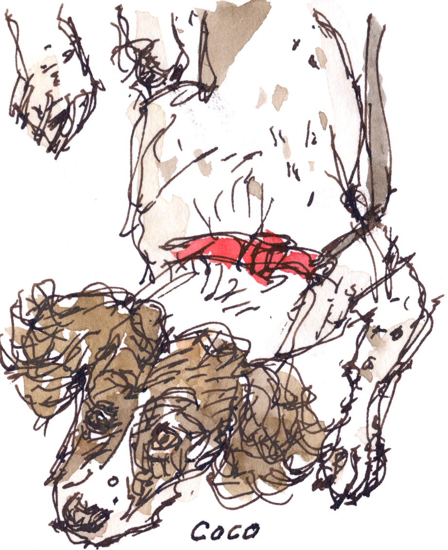 Wild_Yorkshire's tweet photo. Coco, an English springer spaniel, at the Coffee Stop, Horbury Junction yesterday.
#spaniel #drawingdogs #sketchbook
https://t.co/sakiMMUbQZ https://t.co/Amn4wWVplI