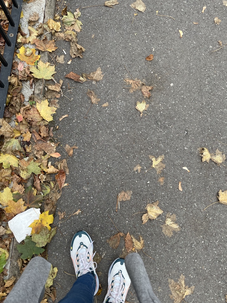 شكراً اكتوبر