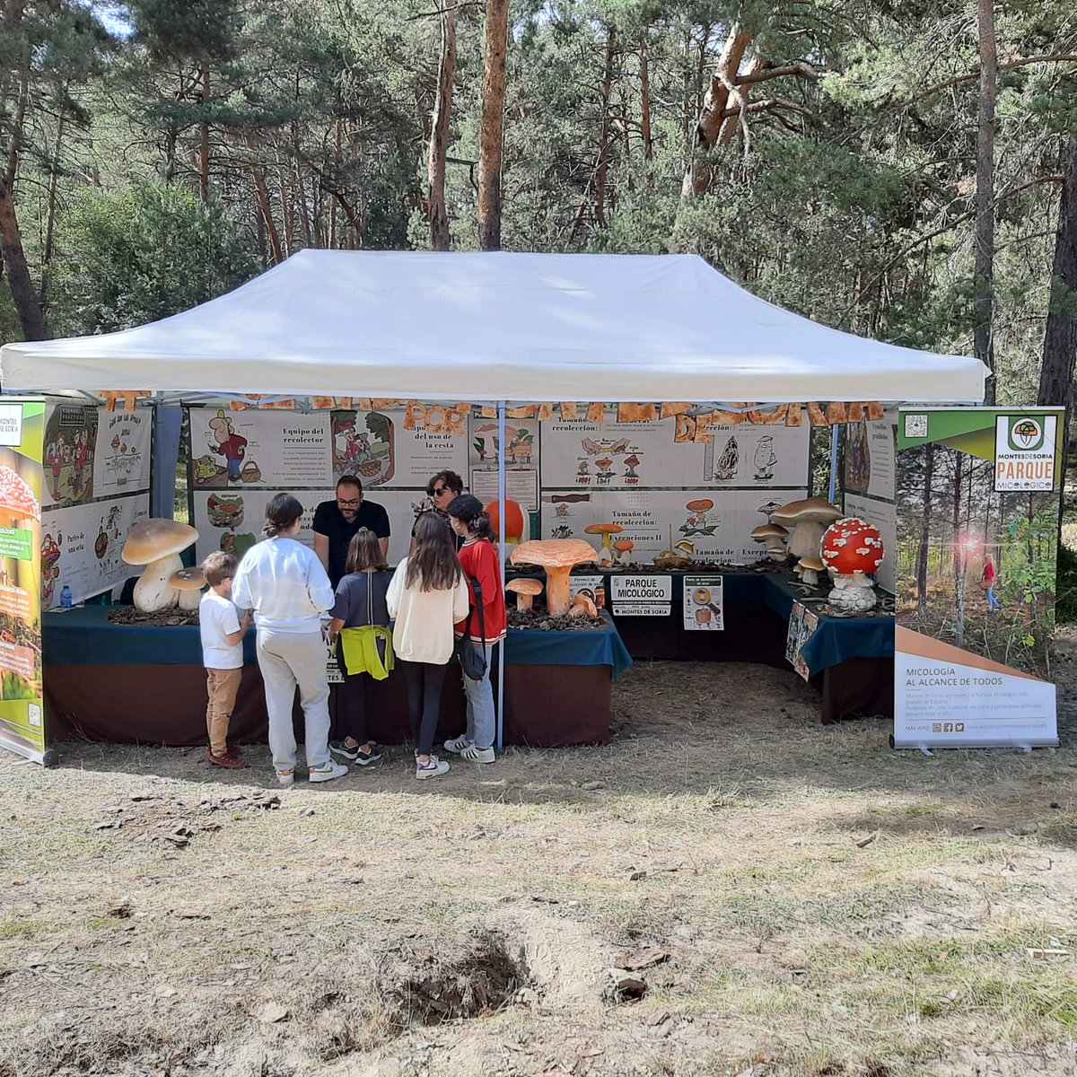 IngForestal50's tweet photo. Seguimos en #Cabforest en Cabrejas del Pinar (Soria) #FeriaForestal https://t.co/NlZFfV3jYw
