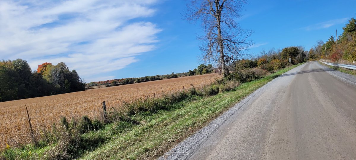 GCActive tweet media