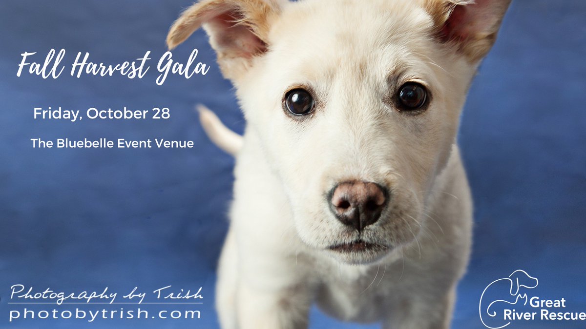 Great River Rescue tweet media