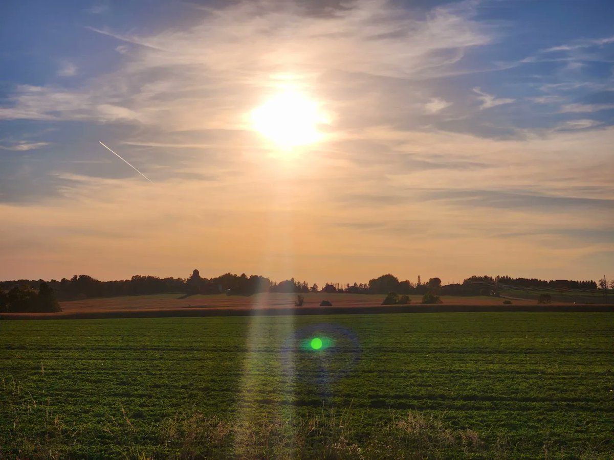 AgilitywAmanda's tweet photo. Country drives are the best π₯°π
#sunset #countrysunset #countrydrives #canadiansights #canadianviews #ontariosights #ontarioviews #ontariosunset #canadiansunset https://t.co/oG8LMtxIUv