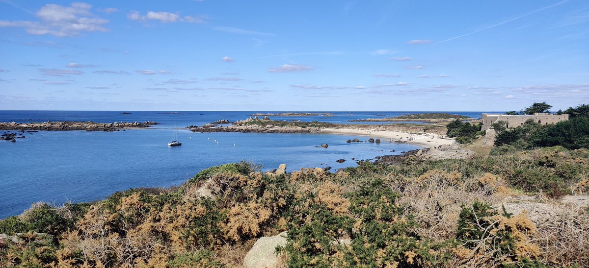 HippoBW's tweet photo. @Lilolaa_ Si tu veux prendre le bateau une journée a l'île de chaussey https://t.co/dlPOOTjtDY