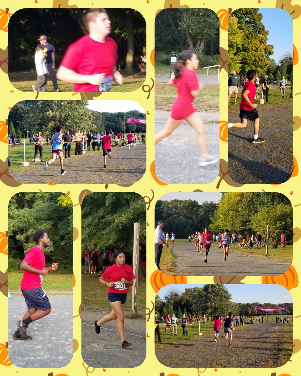 Ms Della Posta tweet media