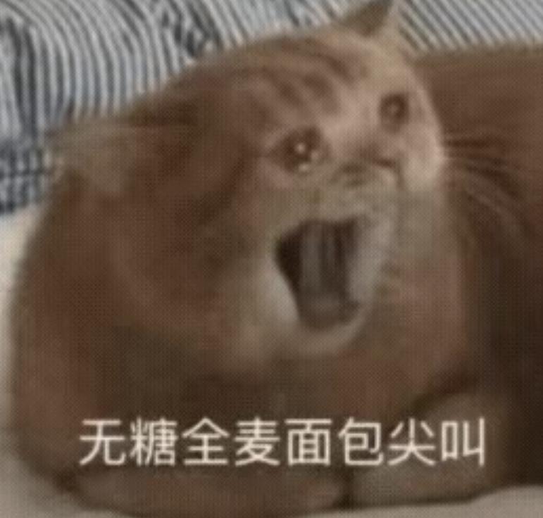 @hungrygoogle https://t.co/6G2WuCNCdB