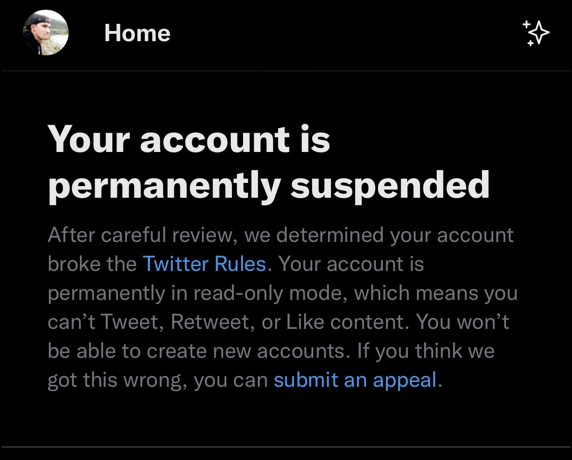 Last Man Sitting tweet media