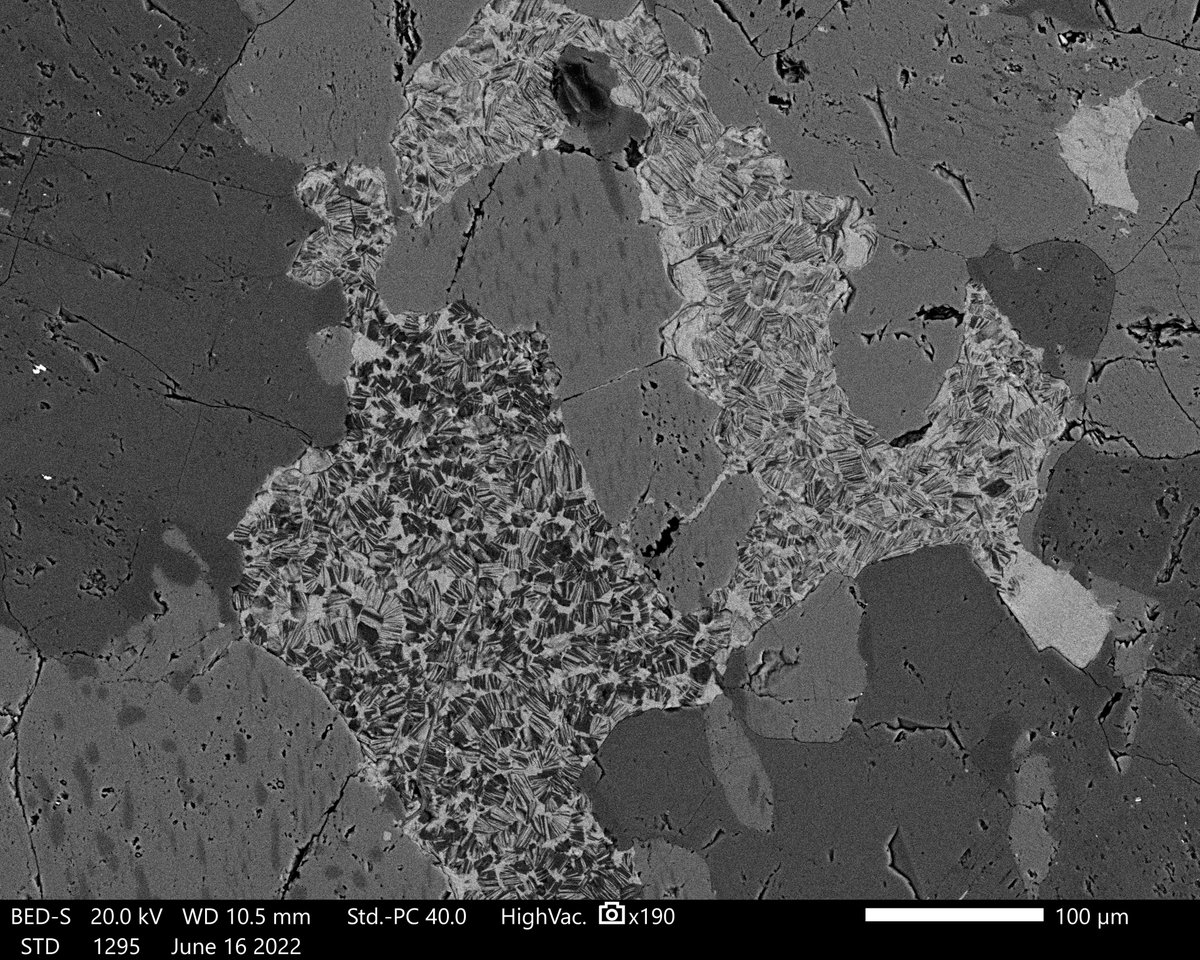#Pyrophyllite and #chlorite alteration texture against alkali feldspar with an interesting appearance in a pegmatite vein! 

#SEM #geology #minerals