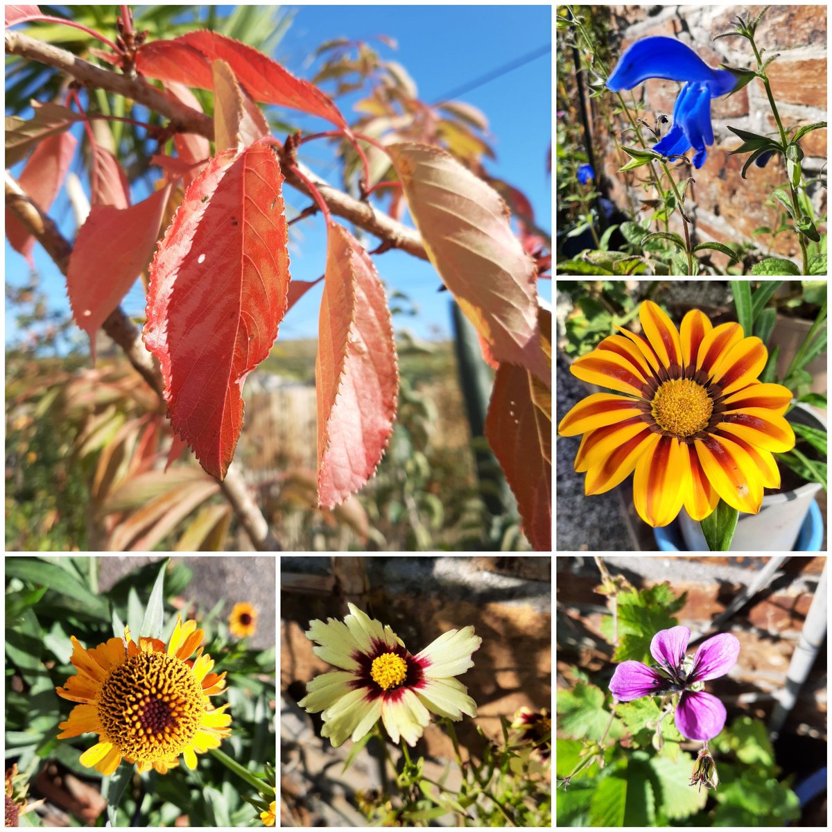 herby_hare's tweet photo. Glorious warm weather for my #Sixonsaturday https://t.co/u6HbAOJvSQ