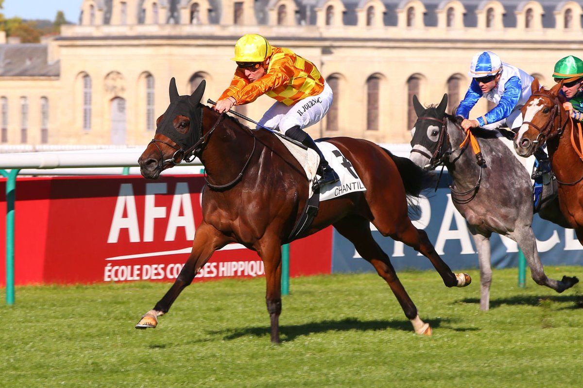 Jour de Galop tweet media