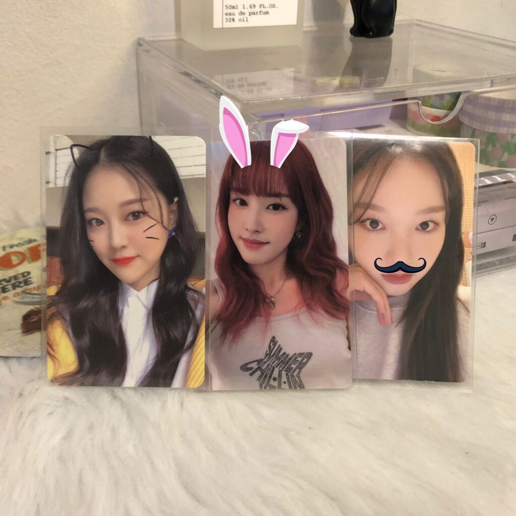 yoonimiya's tweet photo. wts lfb 

yoon we need love wm ld pc set

1.1k set, all onhand &amp; mint condi
rbyt https://t.co/yHvkL8HMQe

stayc loona yoon wnl we need love withmuu luckydraw ld hyunjin catgirl orbit 3.0 gowon loonaverse trading card daiso collbook collect book https://t.co/SM4YS9j6lv