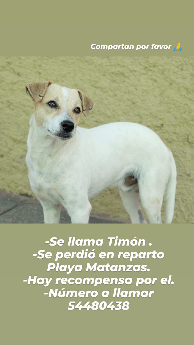 KristoffKriollo's tweet photo. Ayúdenme a compartir 🙏 https://t.co/B2zp7Hj6R3